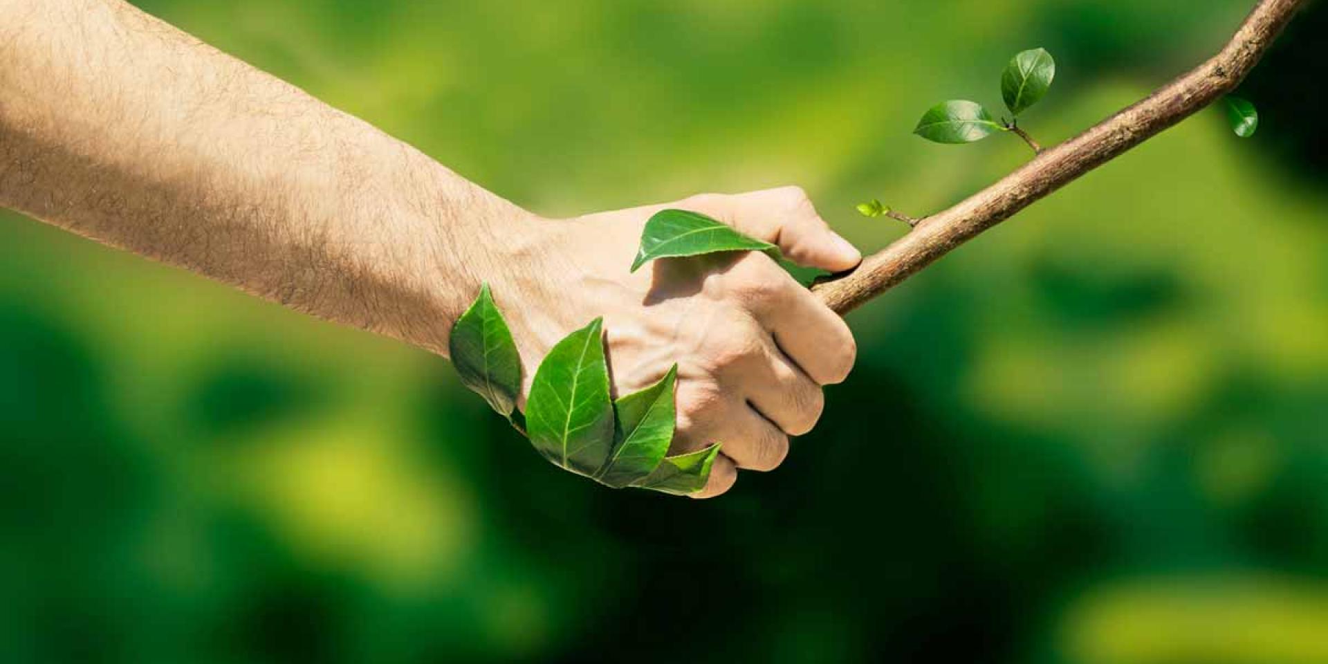 shaking_hands_with_nature