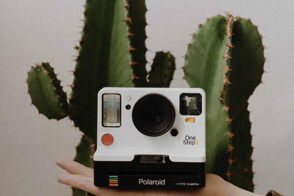 Polaroid
