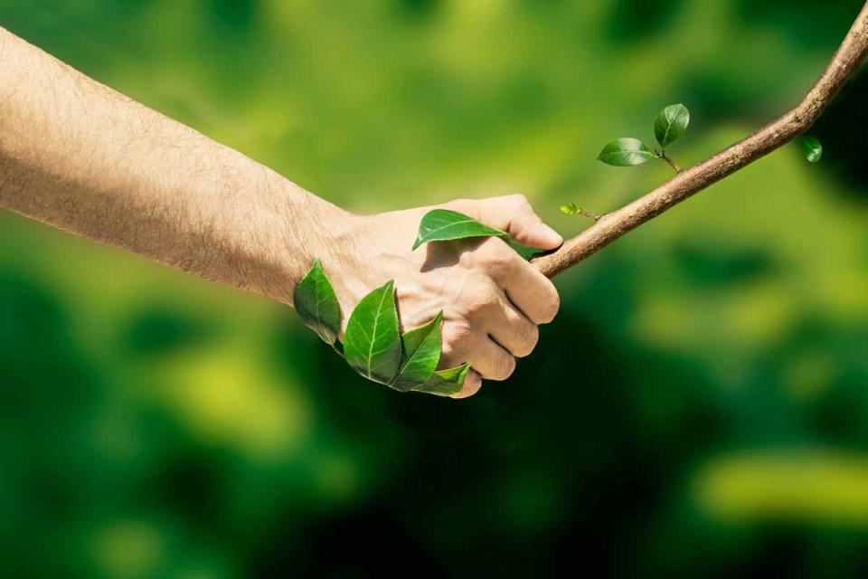shaking_hands_with_nature